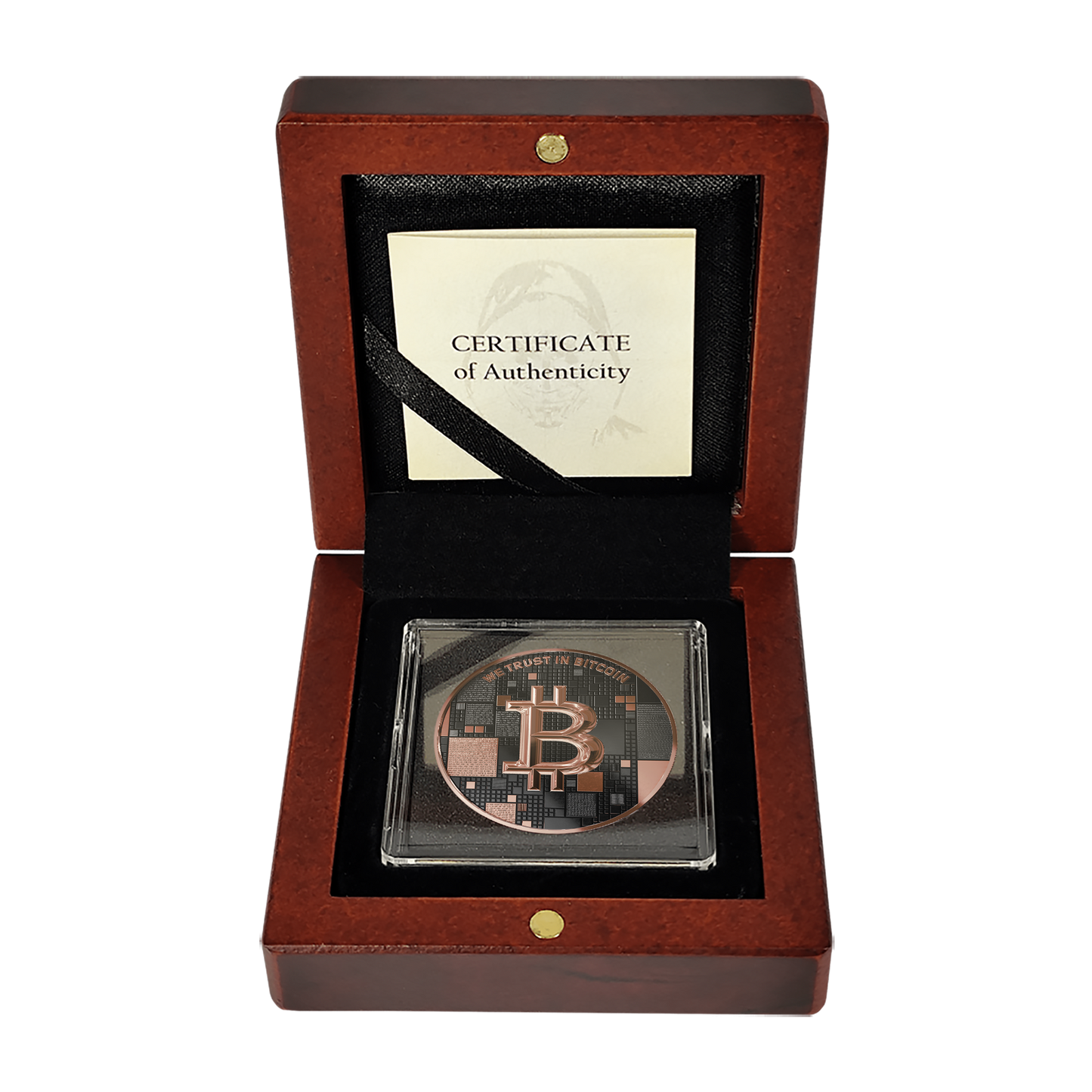 Bitcoin Silbermünze – Dolphin – Roségold + Ruthenium – 2026 Edition (21g 999 Feinsilber)