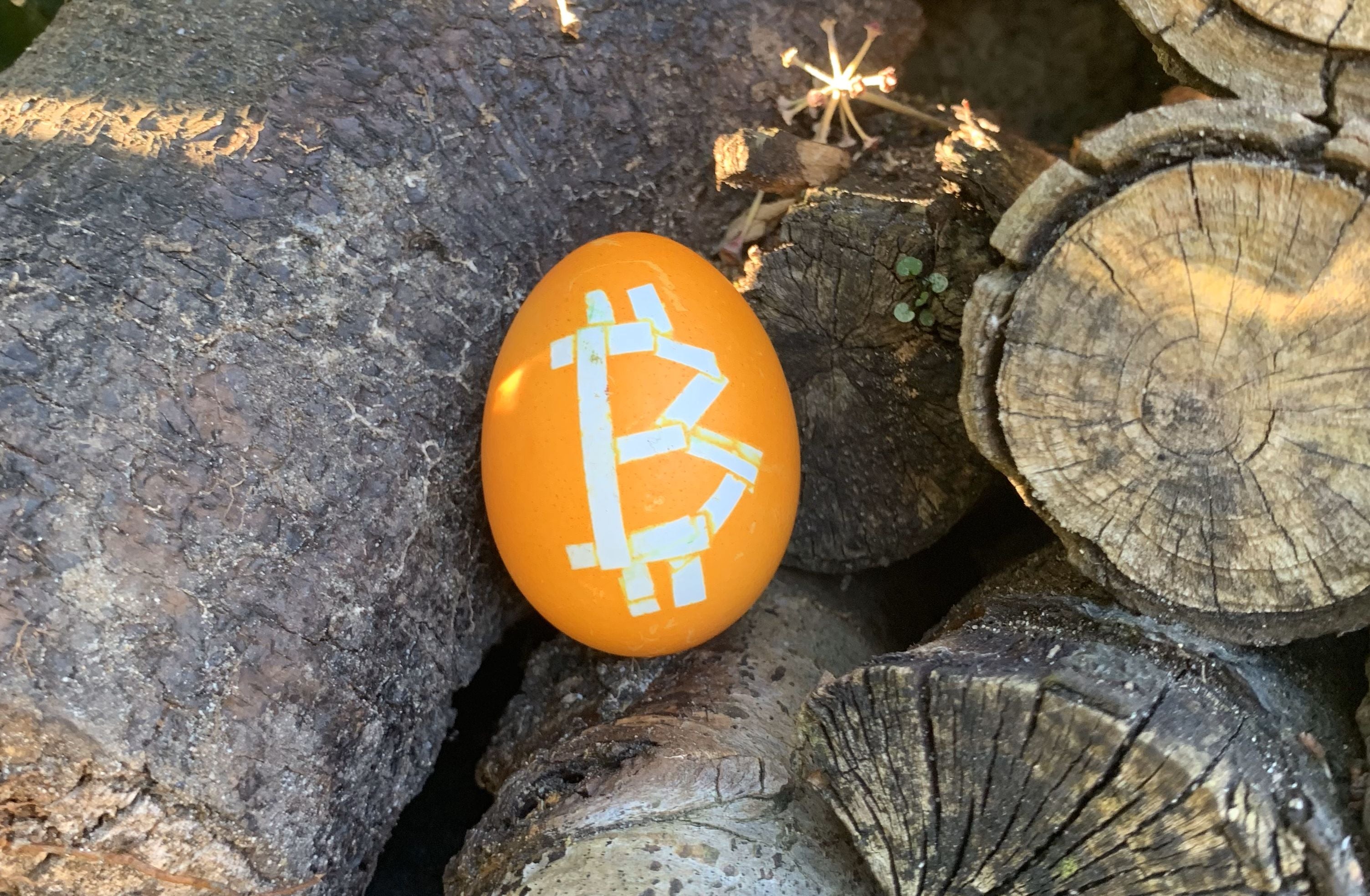 Easter Egg Bitcoin